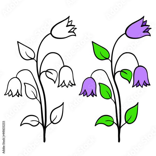 Single bell flower, plant with stem and leaves on white background. Black outline hand drawn sketch and colored version. Vector for coloring book, floral print, childrens illustration, logo.