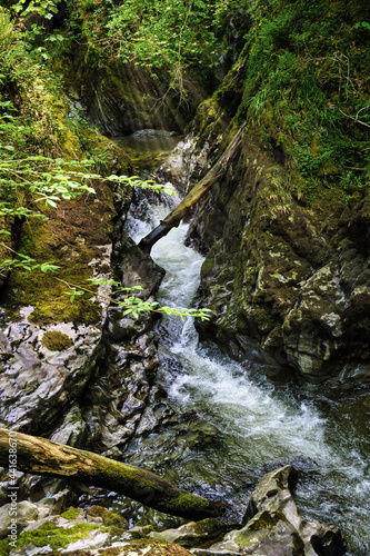 waterfall in the forest