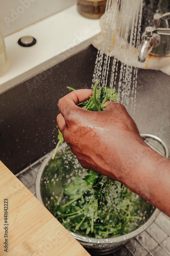 Herbs being washed in a sink