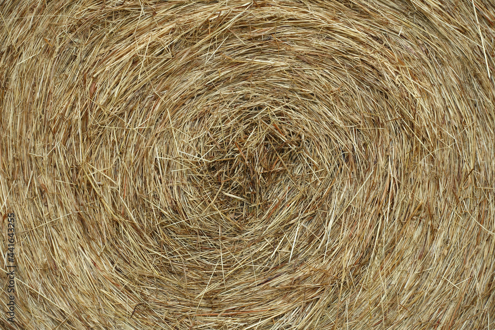 Détail de foin en balle