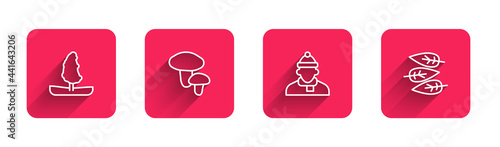 Set line Tree, Mushroom, Autumn clothes and Leaf or leaves with long shadow. Red square button. Vector