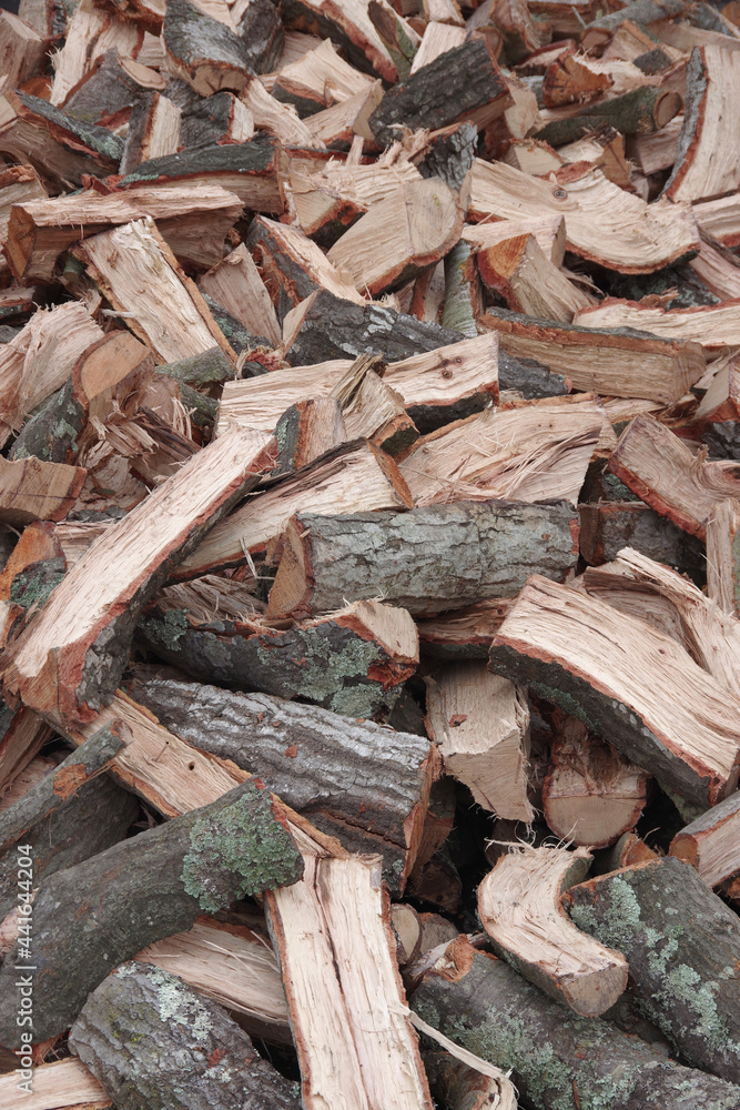 Pile of firewood chopped from a California oak tree Pile of firewood chopped from a California oak tree