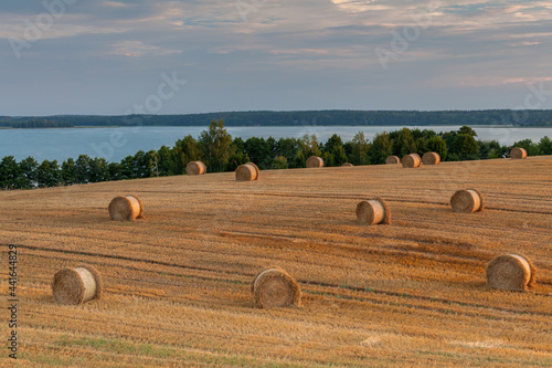 Fototapeta Naklejka Na Ścianę i Meble -  View of the Masurian fields.