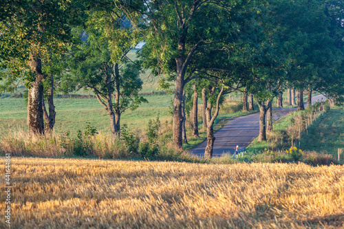 Fototapeta Naklejka Na Ścianę i Meble -  View of the Masurian road.
