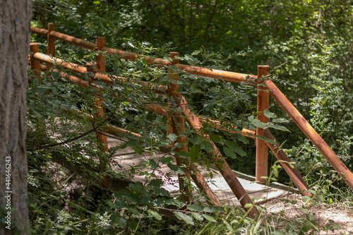 Puente de madera en un bosque