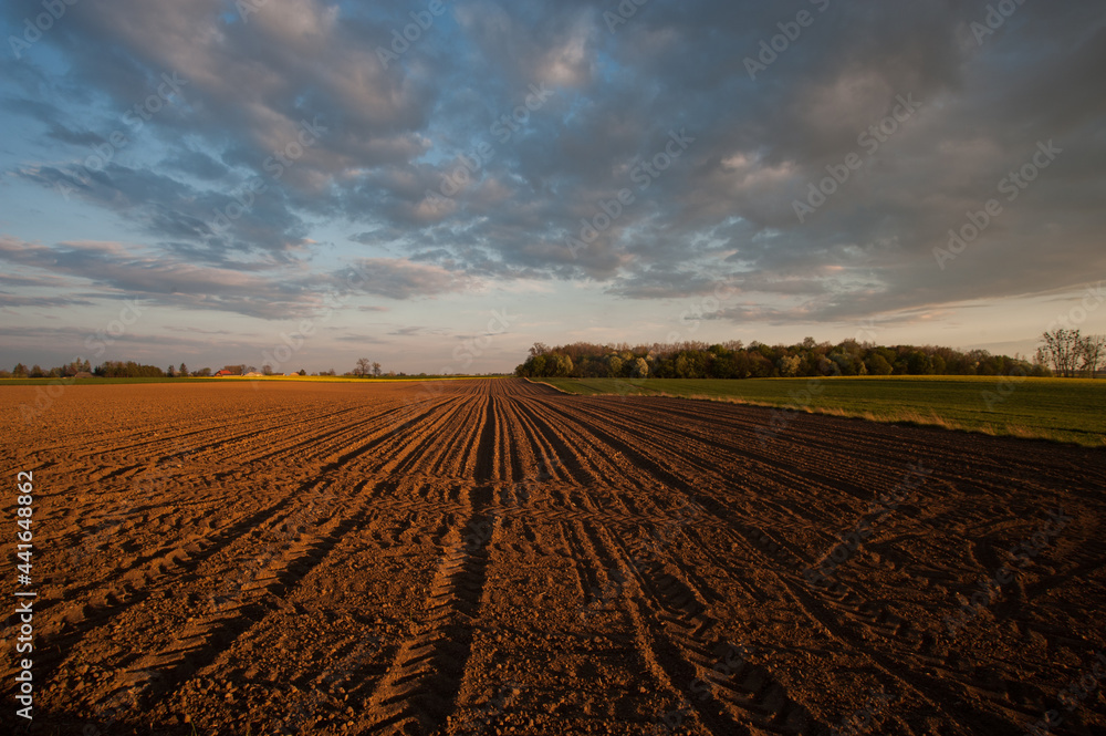 field on the countryside