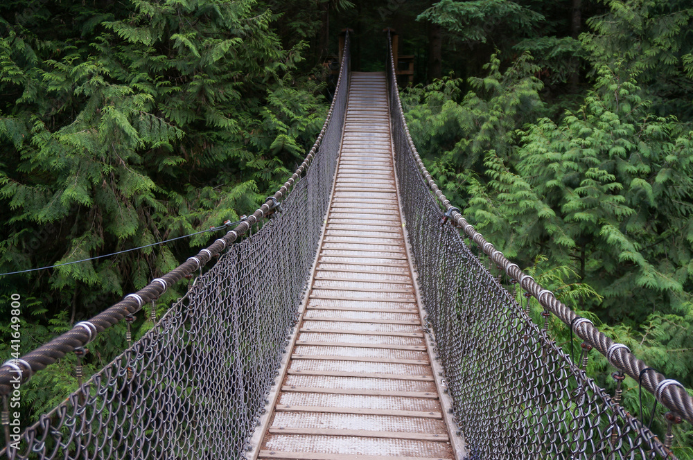 Suspension bridge in Lynn Canyon Park, British Columbia. North Vancouver, Canada.