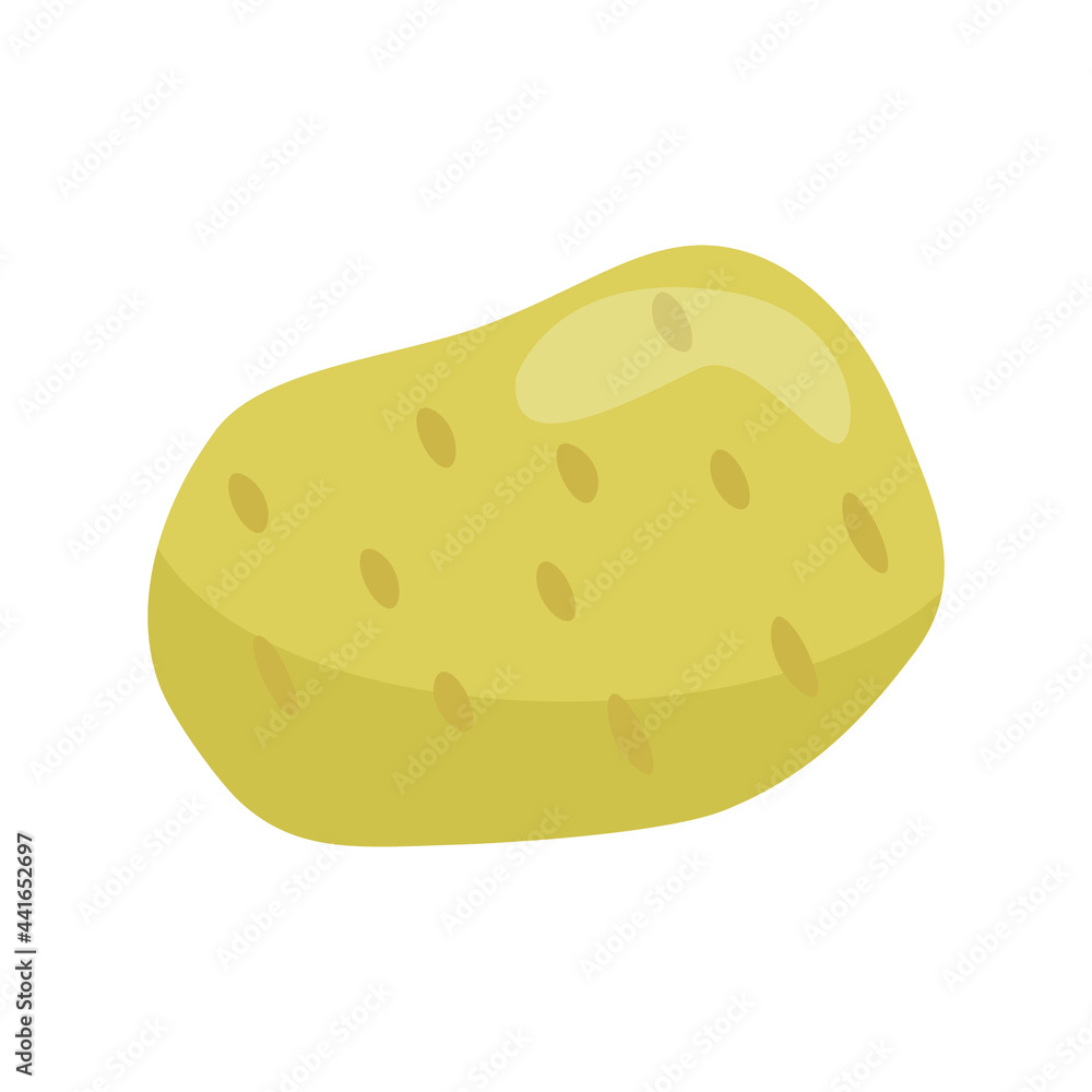 Fresh potato isolated on white background. Vector illustration transparent png. Fresh potato isolated on white background. Vector illustration transparent png.