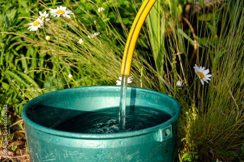 a-bucket-of-water-flowing-from-a-rubber-tube-into-a-bucket-in-a-summer