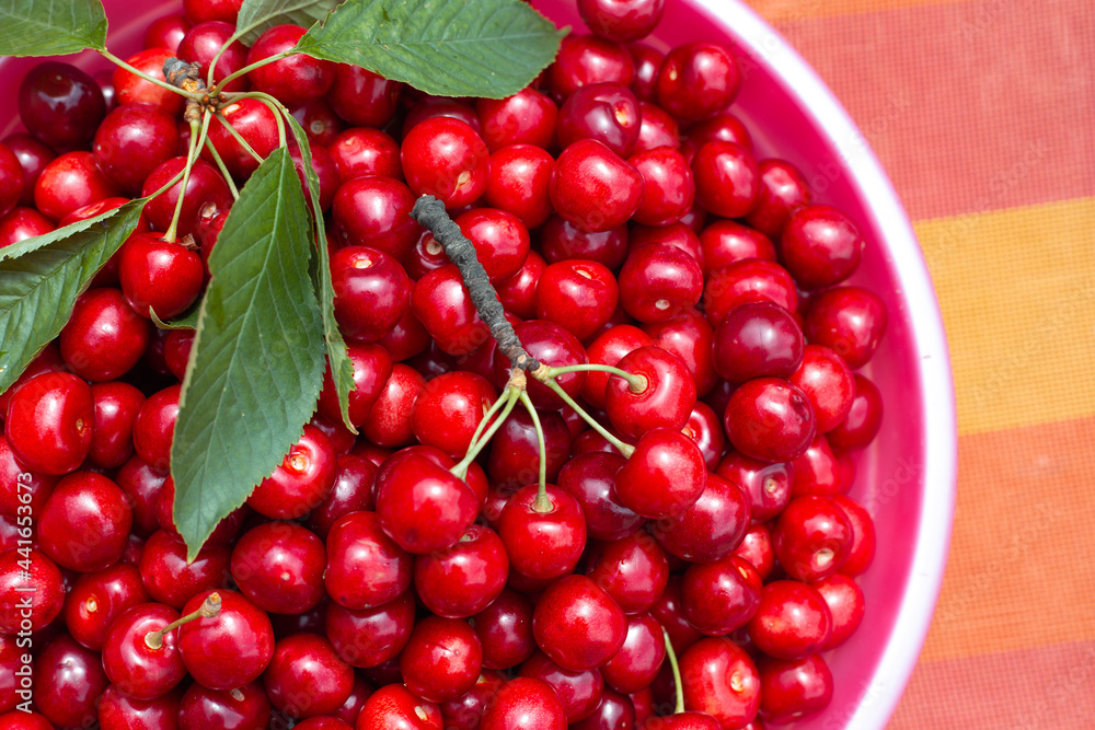 Ripe sweet cherries in a cup. Harvesting in the garden. Harvesting delicious juicy fruits for the winter Ripe sweet cherries in a cup. Harvesting in the garden. Harvesting delicious juicy fruits for the winter