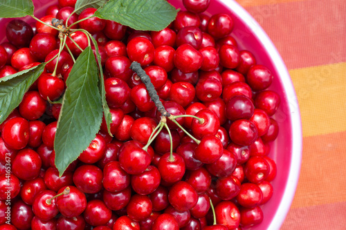 Ripe sweet cherries in a cup. Harvesting in the garden. Harvesting delicious juicy fruits for the winter