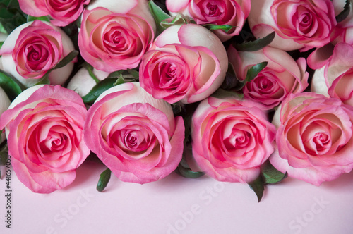 fresh rose flowers in the background  for the design of the postcard. High quality photo