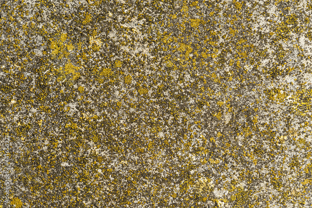 stone or concrete for background, texture stone or concrete for background, texture