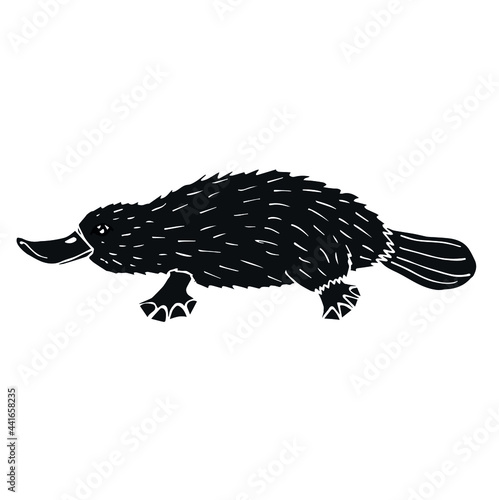 Vector hand drawn doodle sketch black Platypus duckbill isolated on white background