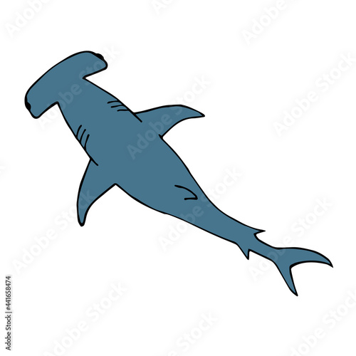 Vector hand drawn doodle sketch colored hammerhead shark isolated on white background