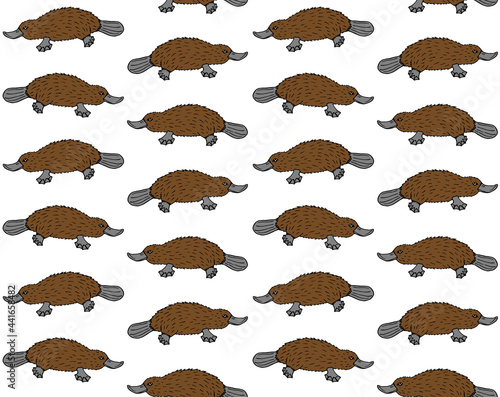 Vector seamless pattern of colored hand drawn doodle sketch Platypus duckbill isolated on white background