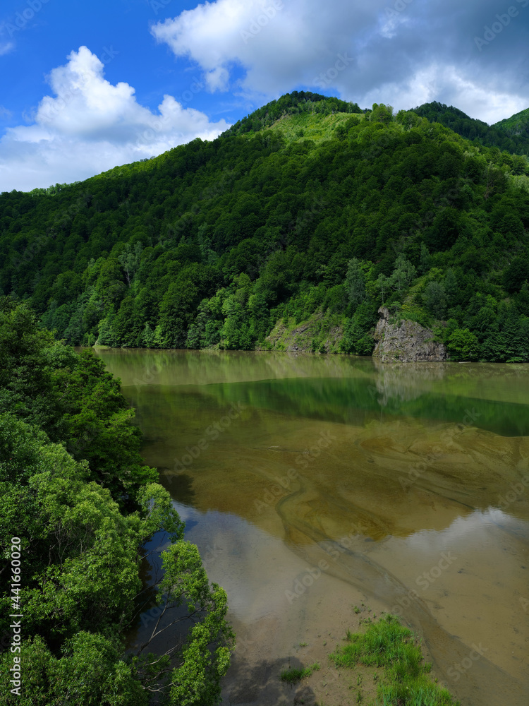 Malaia Dam lake in the Carpathians, Romania, Europe