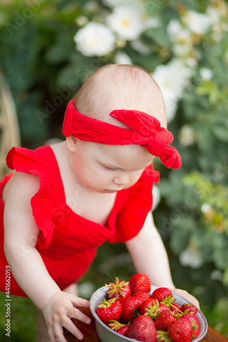A girl in a red dress eats strawberries in her garden. A farm for growing natural products without chemicals. Portrait of a child with summer berries..
