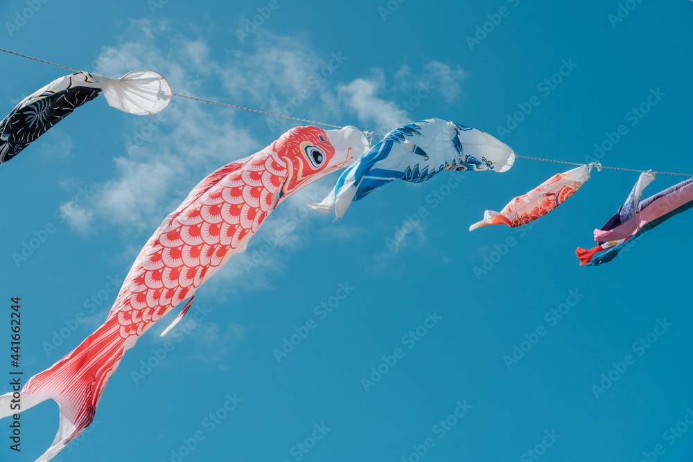 Koinobori, meaning "carp streamer" in Japanese, are carpshaped