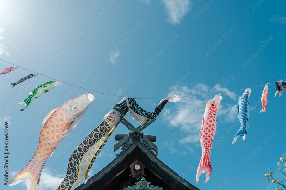Koinobori, meaning "carp streamer" in Japanese, are carpshaped