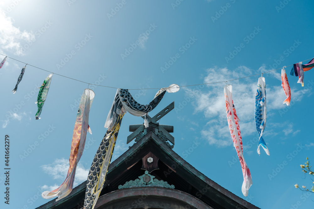 Koinobori, meaning "carp streamer" in Japanese, are carpshaped