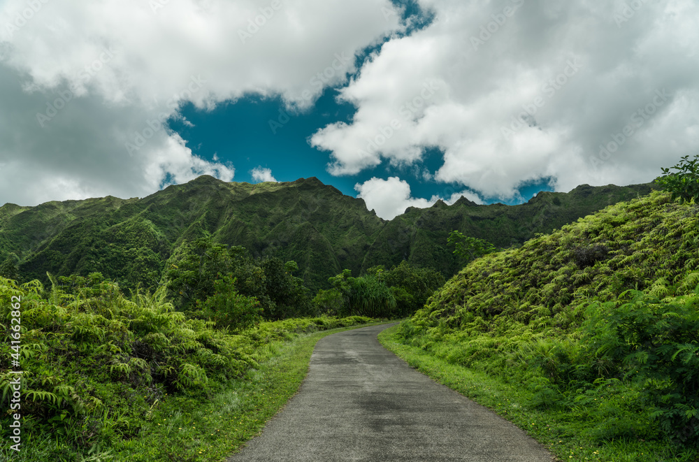 Fotografia do Stock: Koolau Range, Hoomaluhia Botanical Garden ...
