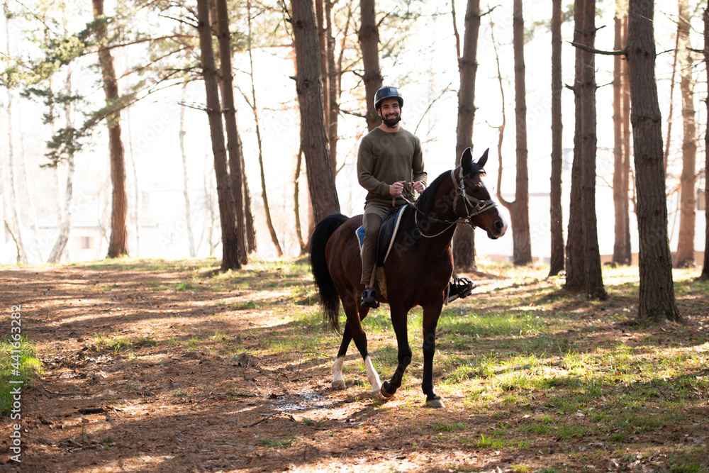 Young Man Wearing Helmet and Riding Horse Young Man Wearing Helmet and Riding Horse