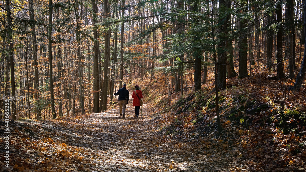 Couple hiking in the forest footpath in autumn Couple hiking in the forest footpath in autumn