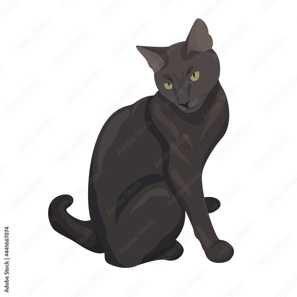 Obraz premium Elegant black cat. Cute cat sitting. Flat illustration isolated on white background for your design. Nice pet.
