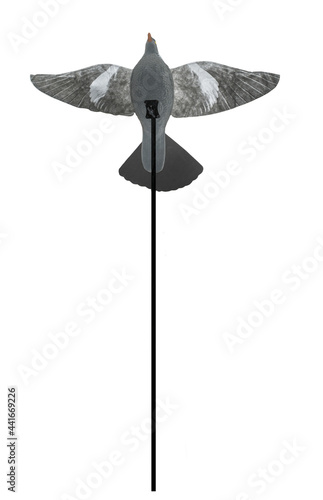 Fotografi Pigeon decoy with open wings over pole