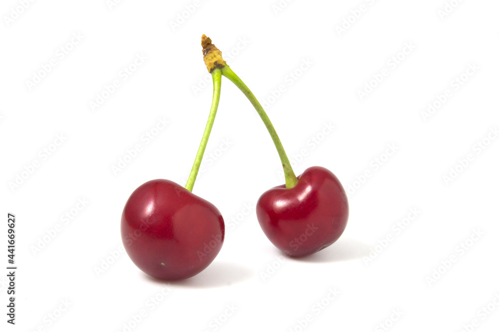 Two isolated red cherries on a white background. Two isolated red cherries on a white background.