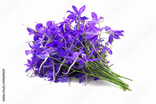 Bouquet of purple wildflowers sparkle