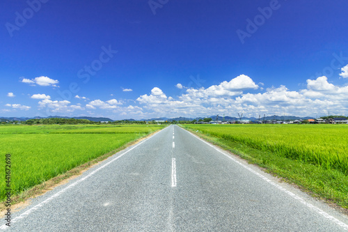 真夏の青空と、田舎の一本道 photo