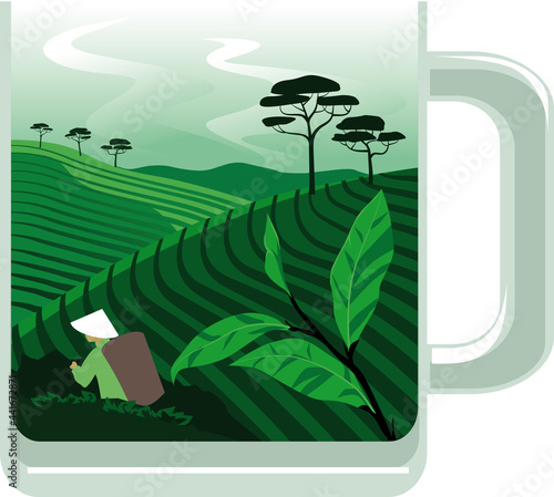 A transparent mug filled with a landscape of a tea producing country, EPS 8 vector illustration, no transparencies 