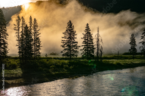 Landscape photo of fog hangs over trees along a river with light rays shining through in US National Park 10