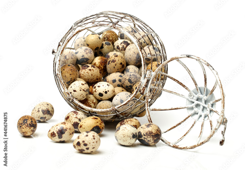 quail eggs on white background quail eggs on white background