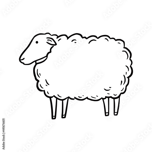 Hand drawn sheep. Doodle sketch style. Drawing line simple sheep icon. Isolated vector illustration.
