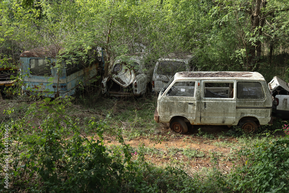 Old cars in the woods, A view of a Junk yard with a few damaged automobiles seen dumped and over the time lush foliage has grown around them which may become an Environmental issue in India.