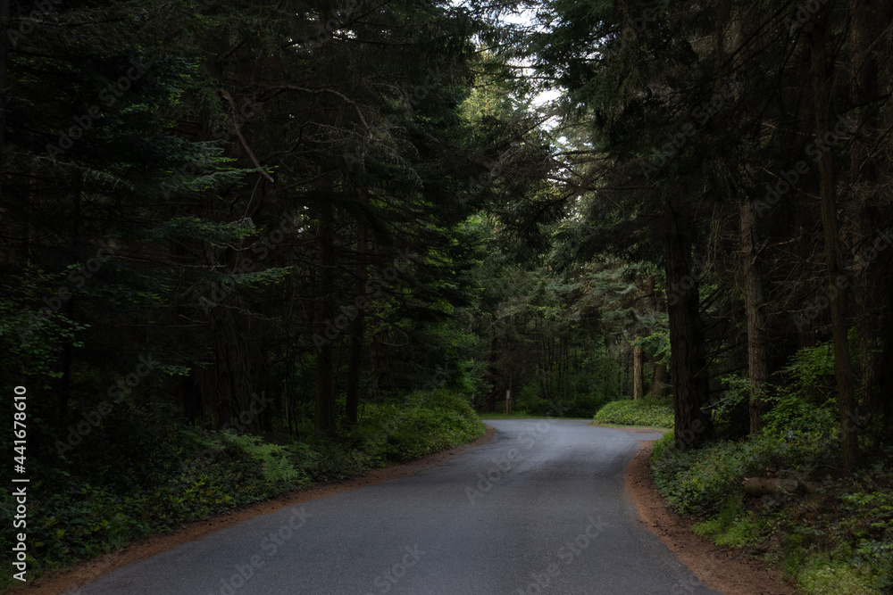 Olympic National Park