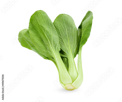 Bok choy vegetable on white