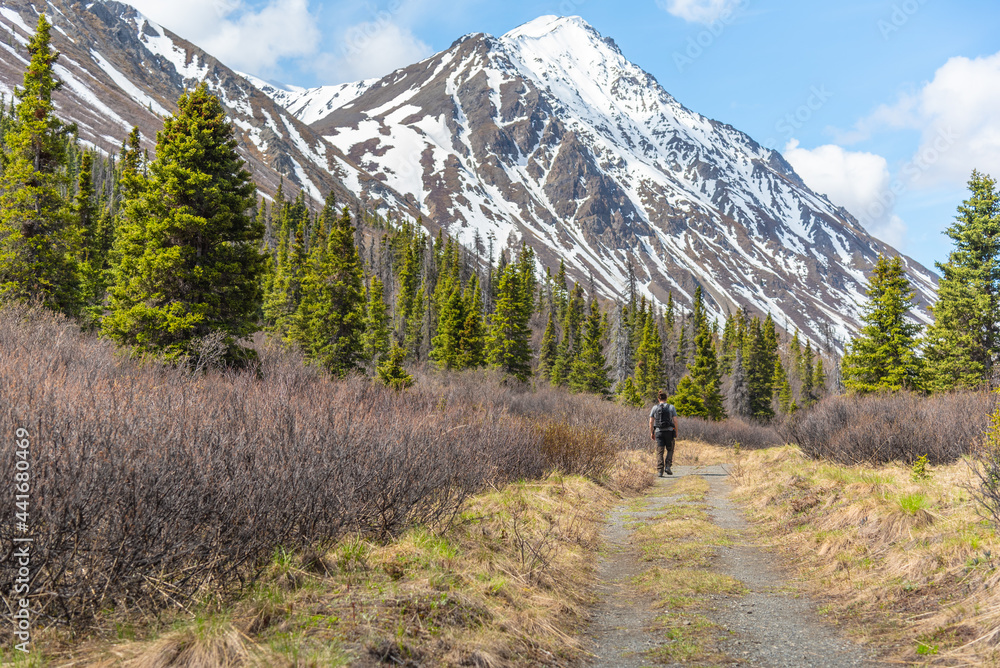 Man on hiking trail in northern Canada during spring time with full backpack, huge snow capped mountains in the background and boreal forest. St Elias Lake in Kluane National Park, Yukon Territory. 