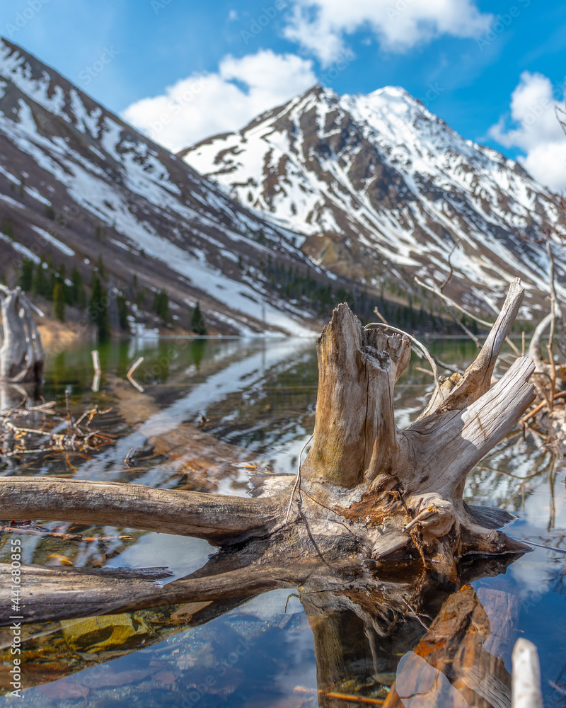 Stunning view of Canadian St Elias Lake in Yukon, Kluane National Park during May, spring time. Driftwood on lake shore of wilderness area. Stunning view of Canadian St Elias Lake in Yukon, Kluane National Park during May, spring time. Driftwood on lake shore of wilderness area.