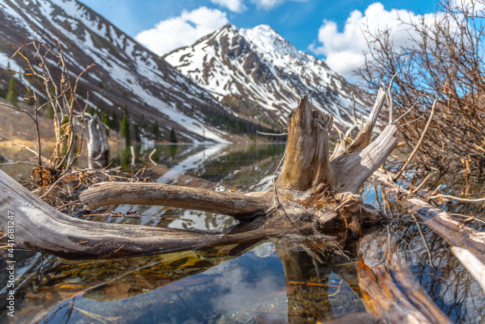 Stunning view of Canadian St Elias Lake in Yukon, Kluane National Park during May, spring time. Driftwood on lake shore of wilderness area. Stunning view of Canadian St Elias Lake in Yukon, Kluane National Park during May, spring time. Driftwood on lake shore of wilderness area.