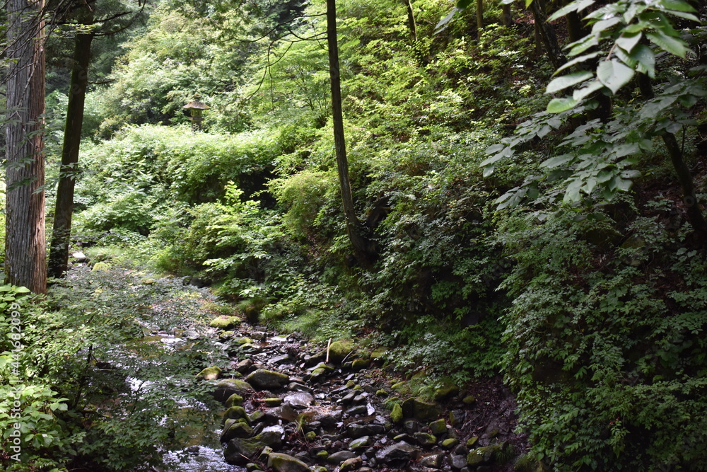 Fototapeta premium 日本 群馬のパワースポット 榛名神社 夏の風景