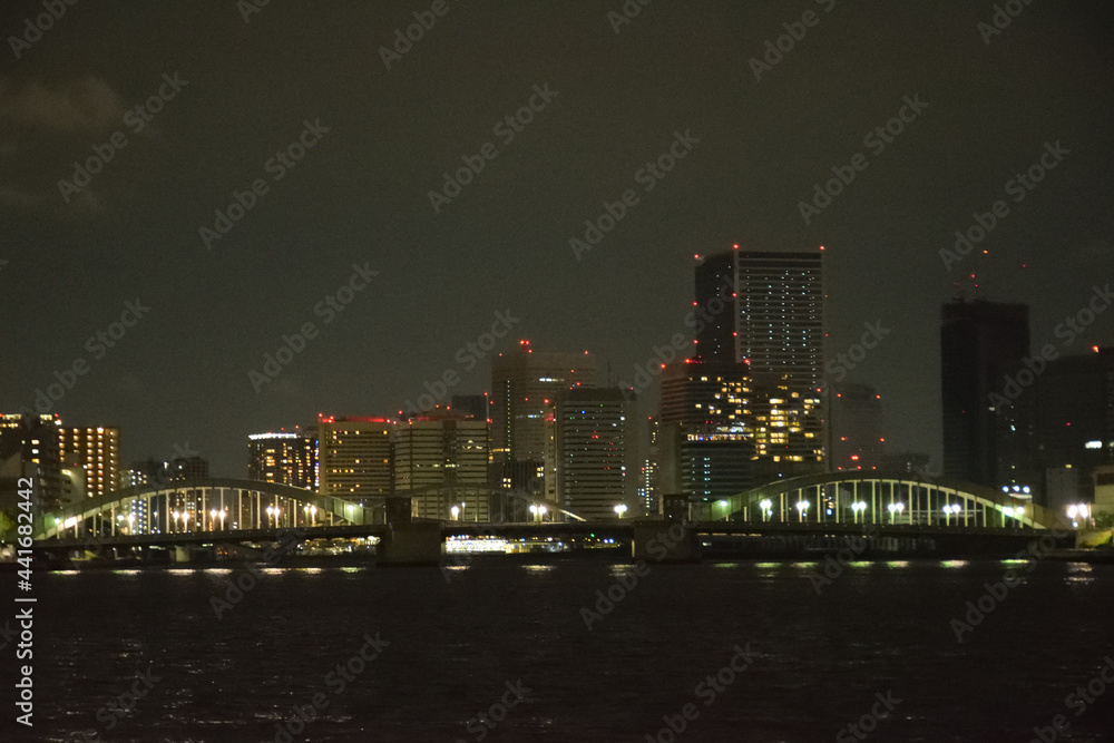 Obraz premium 東京の夜景