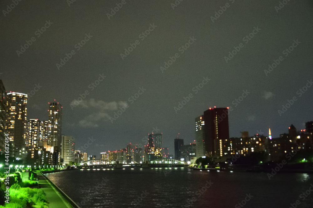 Fototapeta premium 東京の夜景