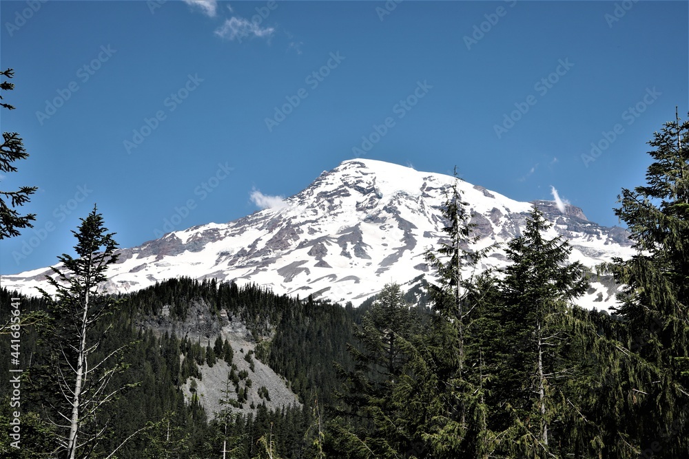 A View of the Beautiful Mount Rainier
