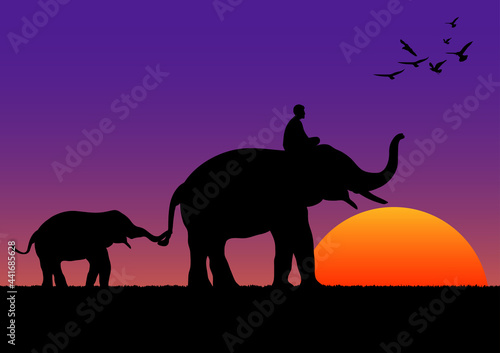 silhouette image Black elephant with Elephant mahout walking with mountain and sunset background Evening light vector Illustration