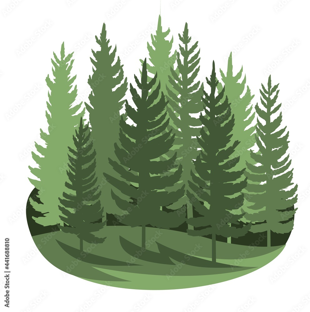 Forest silhouette scene. Landscape with coniferous trees. Beautiful view. Pine and spruce trees. Summer nature. Isolated illustration vector