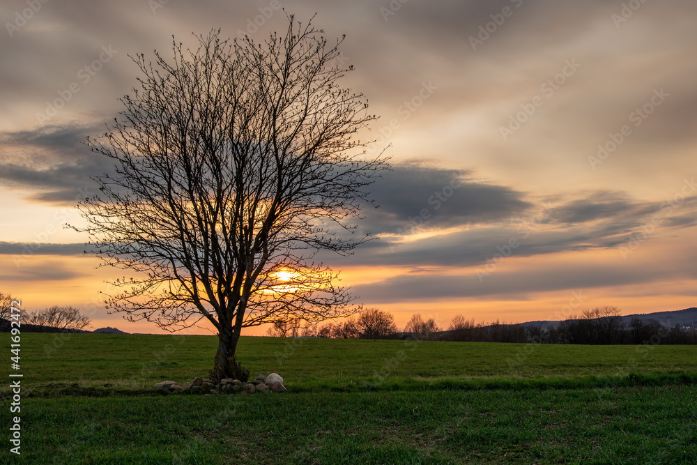 Country landscape in sunshine,Germany Country landscape in sunshine,Germany